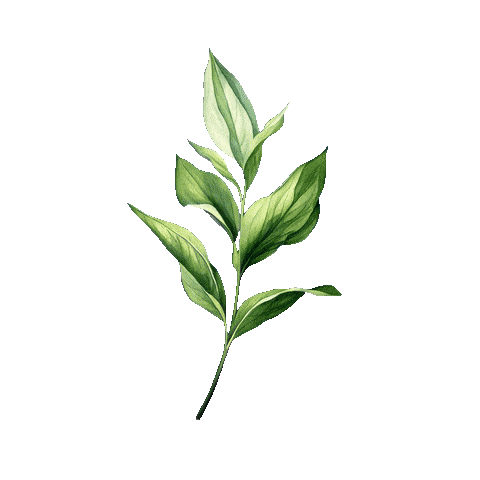 Green Leaf