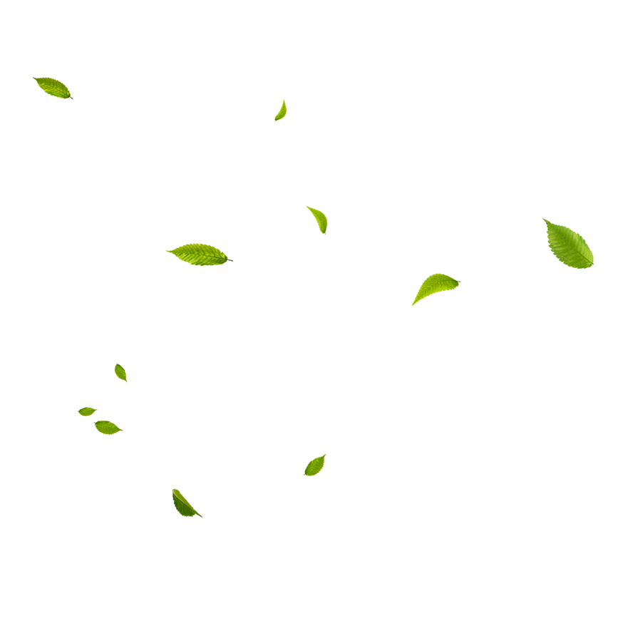 Leaf